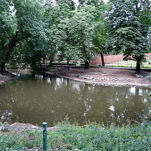 Pond in the zoo