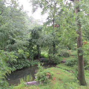 Bronx Zoo- Tiger Exhibit