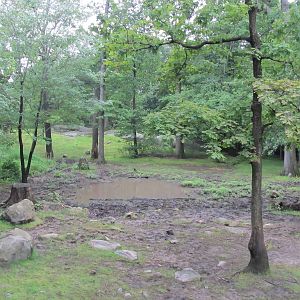 Bronx Zoo- Indian Rhino Exhibit