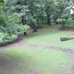 Bronx Zoo- Wild Asia Deer Exhibit