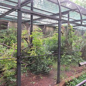 Bronx Zoo- Pheasant Aviarys