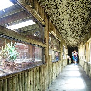 Renovated Reptile House at Dudley, 14/07/13