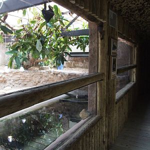 Renovated Reptile House at Dudley, 14/07/13