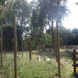 Future Monkey Enclosure