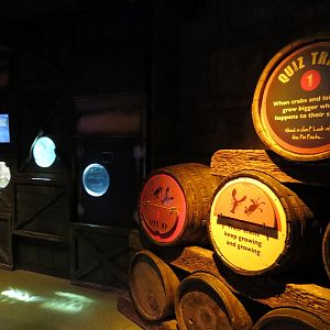 Harbor - Three Small Tanks