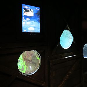 Harbor - Three Small Tanks