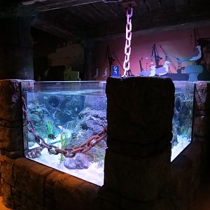 Harbor - Small Open-top Tank