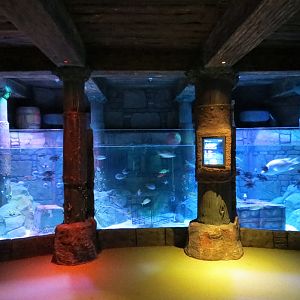 Harbor - Large Open-top Tank