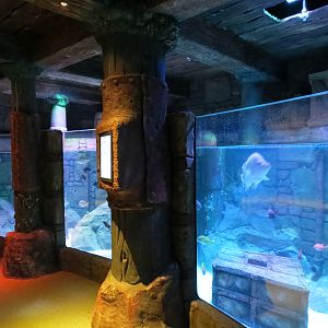 Harbor - Large Open-top Tank