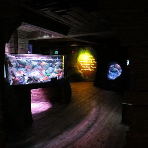 Shipwreck - Pop-up Bubble Tank