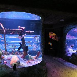 Shipwreck - Round Column Tank