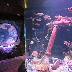 Shipwreck - Round Column Tank