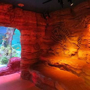 Dinosaur Dive - Interior