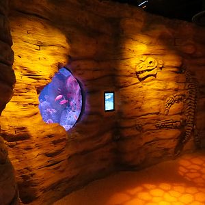 Dinosaur Dive - Interior