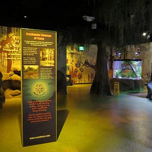 Freshwater Swamps - Interior