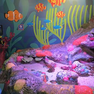 Rockpools/Touch A Creature