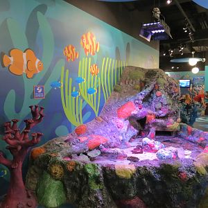 Rockpools/Touch A Creature