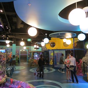 Rockpools/Touch A Creature