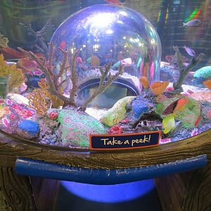 Submarine Play Zone - Pop-up Bubble Tank