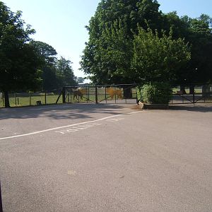View of closed gates to Safari Park