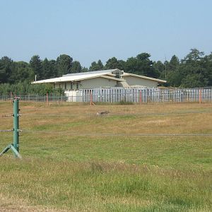 View of Elephant House