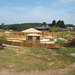 View of the new Desert Springs exhibit