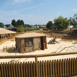 View of the new Desert Springs exhibit