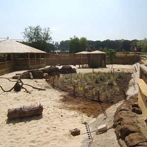 View of the new Desert Springs exhibit