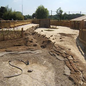 View of the new Desert Springs exhibit