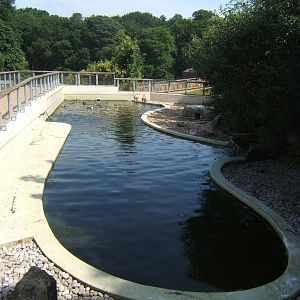 View of Penguin pool