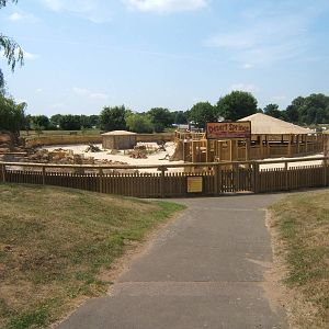 View of the new Desert Springs exhibit