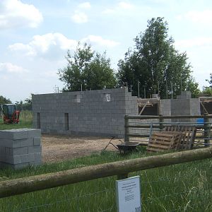 New Tiger House being built