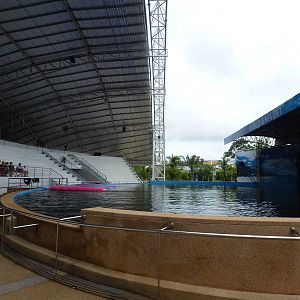 Dolphin stadium, June 2013