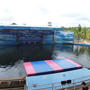 Show pool, June 2013