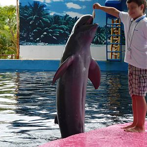 Photo opportunity, June 2013