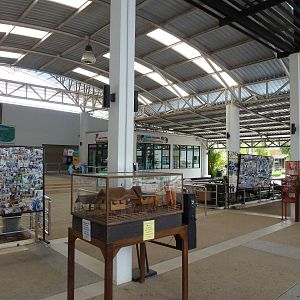 Entrance plaza, June 2013