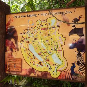 Daytime map of the zoo, May 2013