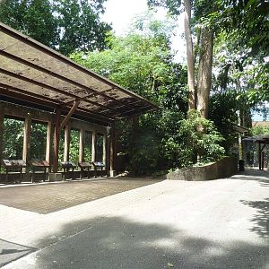 Malayan rainforest viewing areas, May 2013