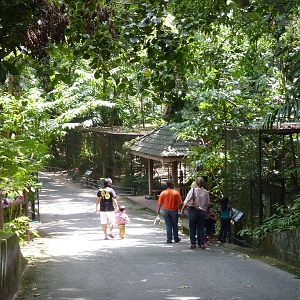 Path with aviaries, May 2013