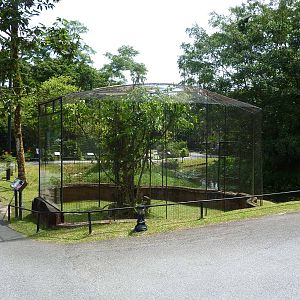 Slow loris enclosure, May 2013