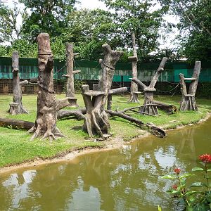 Chimpanzee/Serval enclosure, May 2013