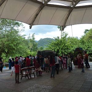 Meet the elephant, May 2013