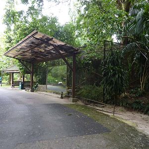 Flat-headed cat enclosure, May 2013