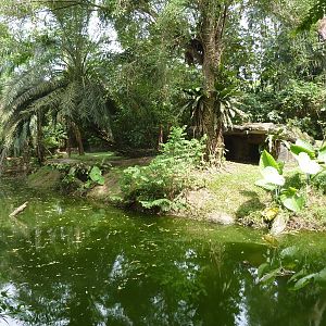 Lion enclosure, May 2013