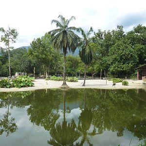 Savannah exhibit, May 2013
