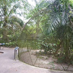 Geodesic enclosures, May 2013