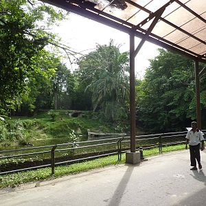 Tiger enclosure, May 2013