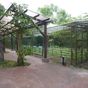 Colours of the Amazon aviary, May 2013
