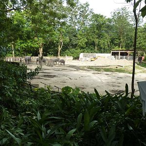 Elephant enclosure, May 2013