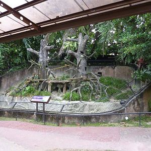 Porcupine enclosure, May 2013